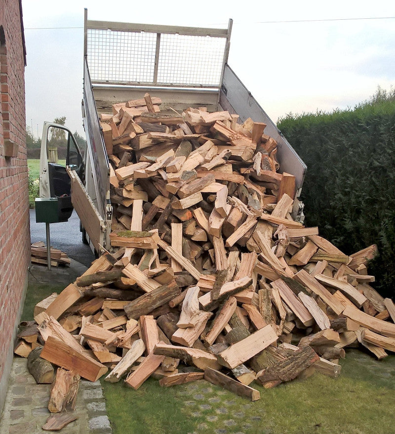 Hartholz-Mix (Buche, Eiche, Esche) – Lose geschüttet / 28–33 cm